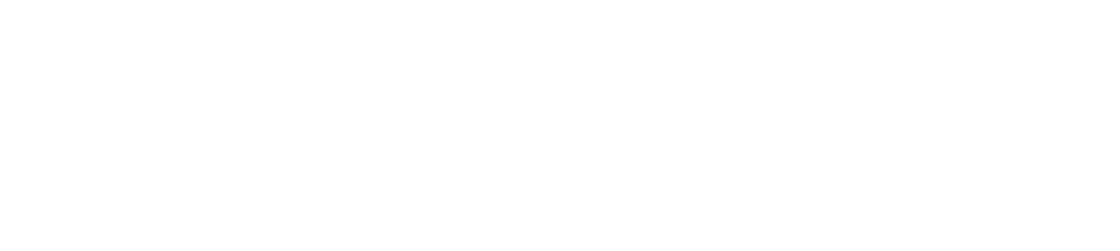 Five Star Dolphins English Training School